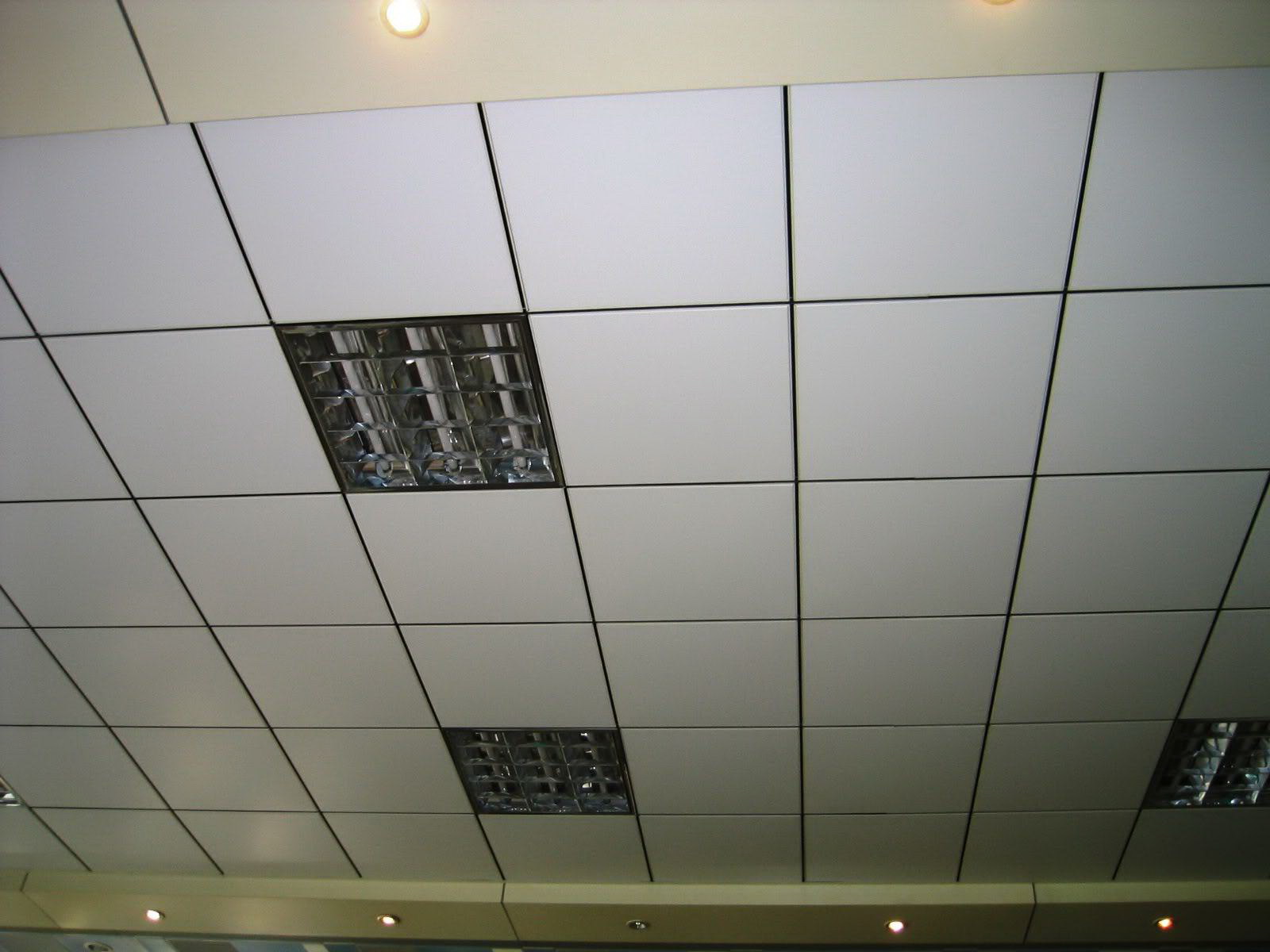 Ceiling Tee Bar Installation of grille lamp